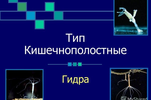 Кракен сайт store