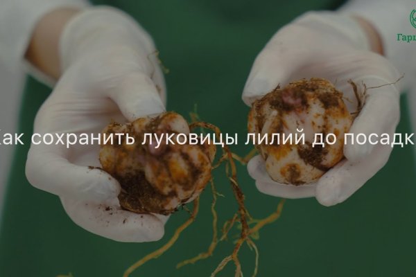 Kraken зеркало krakentor site