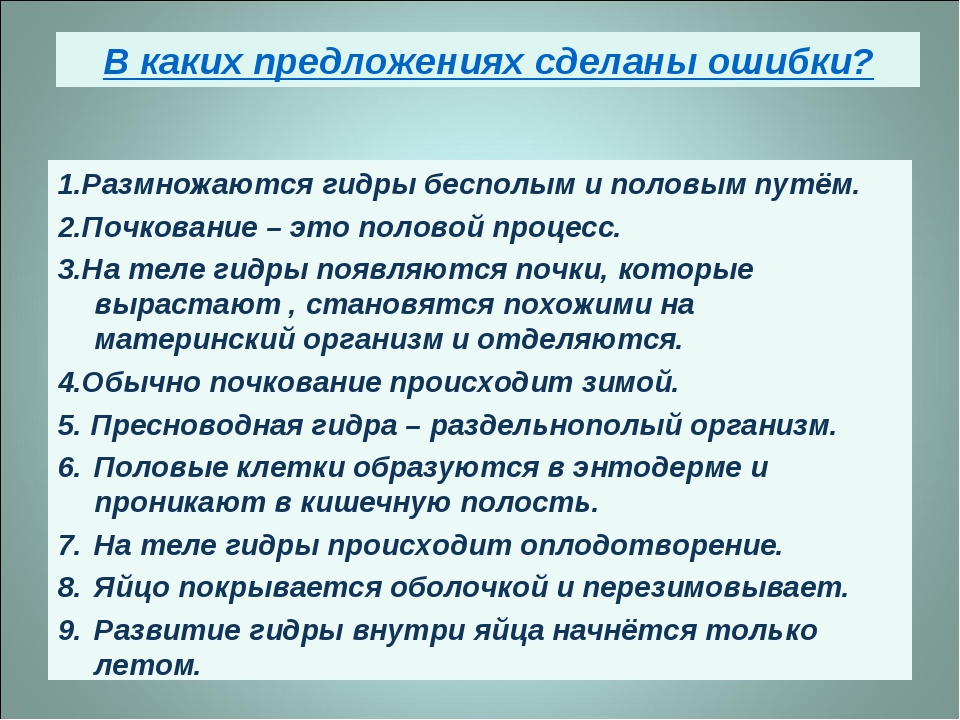 Как войти в кракен