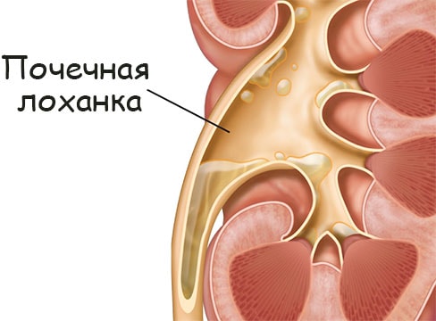 Как найти кракен в торе